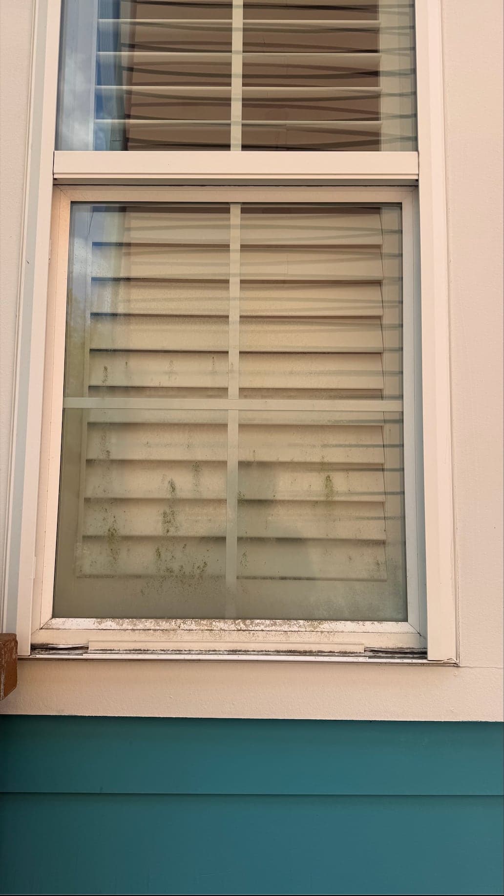 Exterior Window Cleaning — before