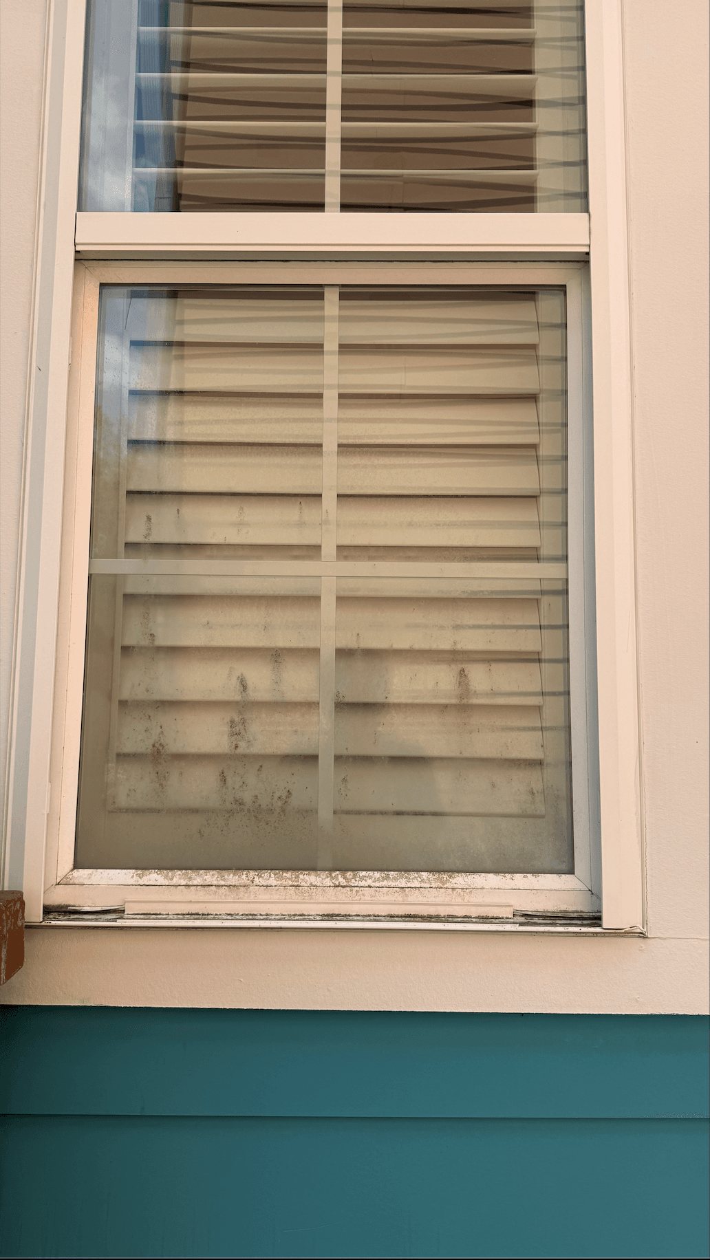 Exterior Window Cleaning — before